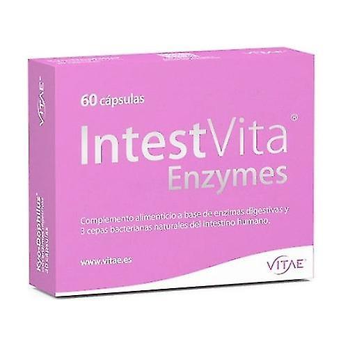 Intestvita Enzymen 60 Capsules on Productcaster.