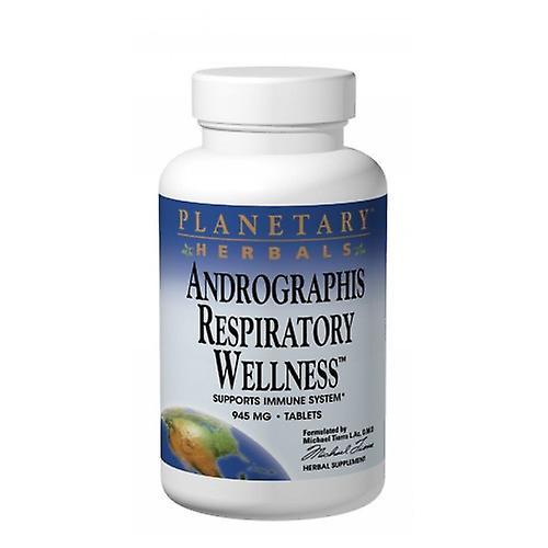 Planetary Herbals Andrographis Respiratory Wellness, 120 faner (pakke med 1) on Productcaster.