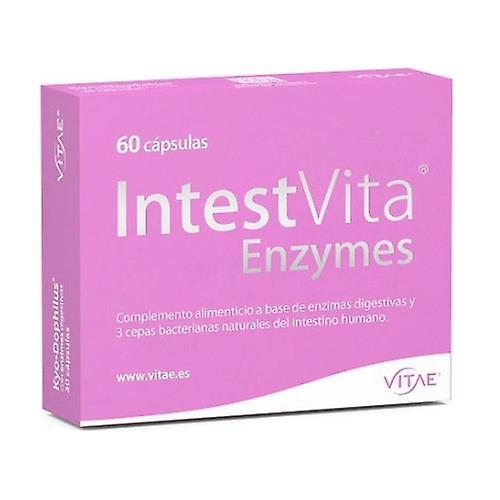 Vitae Intestvita tráviace enzýmy 60 kapsúl on Productcaster.