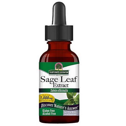 Nature's Answer Sage, ALCOHOL FREE, 1 OZ (Pack of 6) on Productcaster.