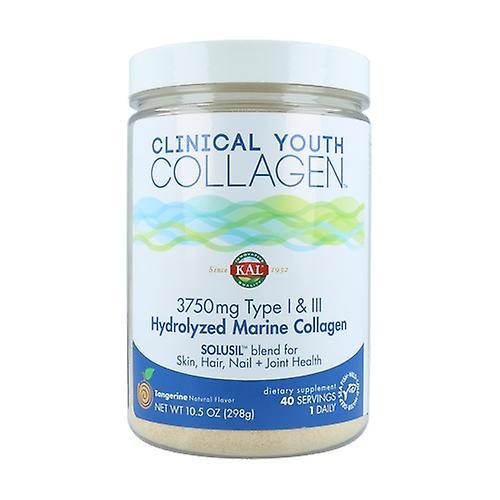 Kal Clinical Youth Collagen Type I & III 298 g on Productcaster.