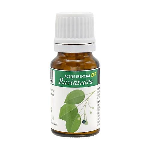 Plantis - Artesania Agricola Ravintsara Eco éterický olej 10 ml éterického oleja on Productcaster.