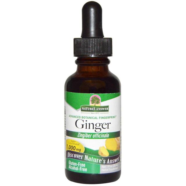 Nature's Answer, Ginger, Alcohol-Free, 1,000 mg, 1 fl oz (30 ml) on Productcaster.