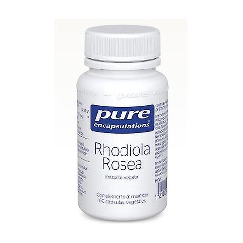 Pure Encapsulations rhodiola rosea 60 capsules on Productcaster.