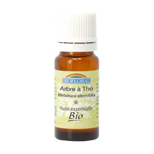 Biofloral HE Tea Tree (Melaleuca alternifolia) ORGANIC 10 ml of essential oil on Productcaster.