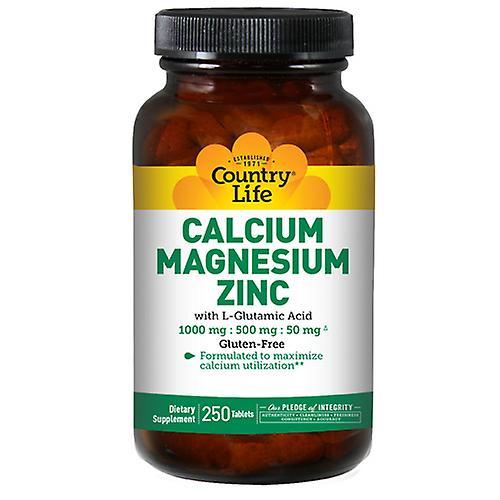 Country Life Cal-Mag-Zinc, 250 Tabs (Pack of 3) on Productcaster.