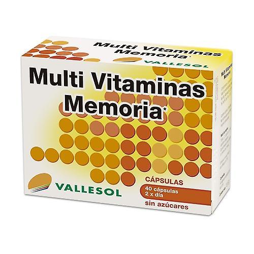 Vallesol Memory Multi Vitamins 40 kapsúl on Productcaster.