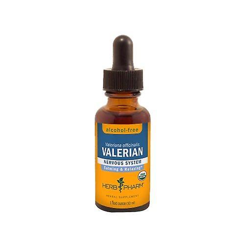 Herb Pharm Valerian Glycerite, 1 Oz (Pack of 1) on Productcaster.