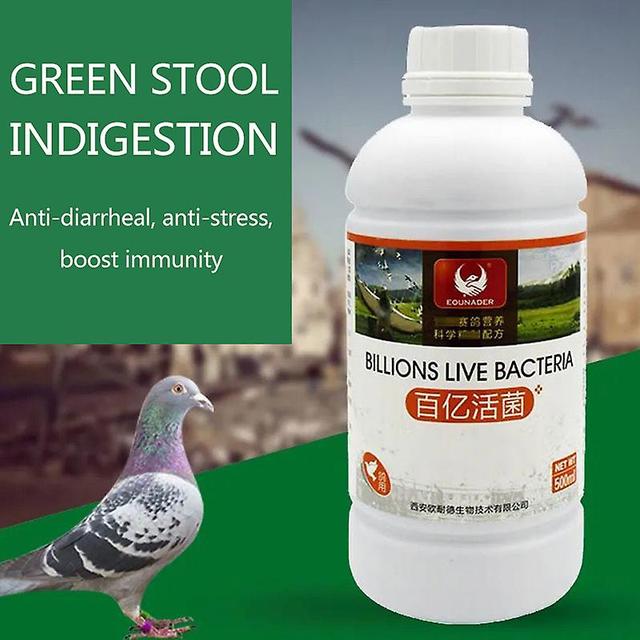 Rion Micro-ecological Probiotics Tens Of Billions Of Live Bacteria To Stop Diarrhea And Improve Immunity For Racing Pigeons on Productcaster.