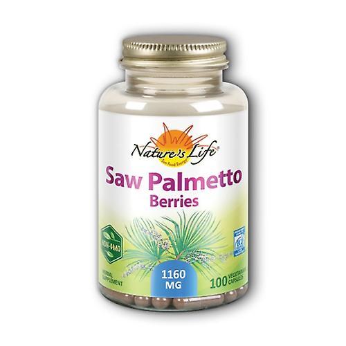 Nature's Life Saw Palmetto Berries, 100 Caps (Pack of 2) on Productcaster.