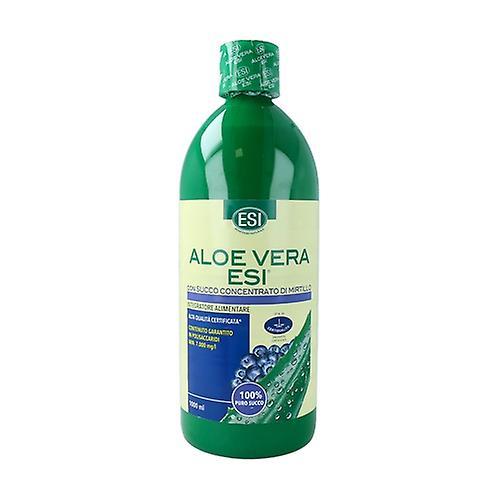 ESI Aloe vera blueberry juice 1 L on Productcaster.