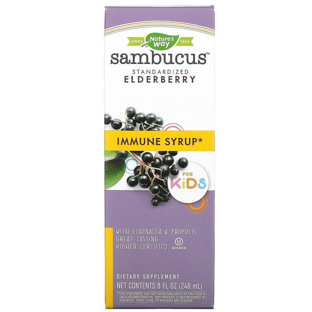 Nature's Way, Sambucus for Kids, Standardized Elderberry, Immune Syrup, 8 fl oz (240 ml) on Productcaster.