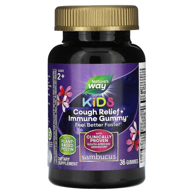 Nature's Way, Úľava od kašľa pre deti + Imunitná guma, Vek 2+, 36 Gummies on Productcaster.