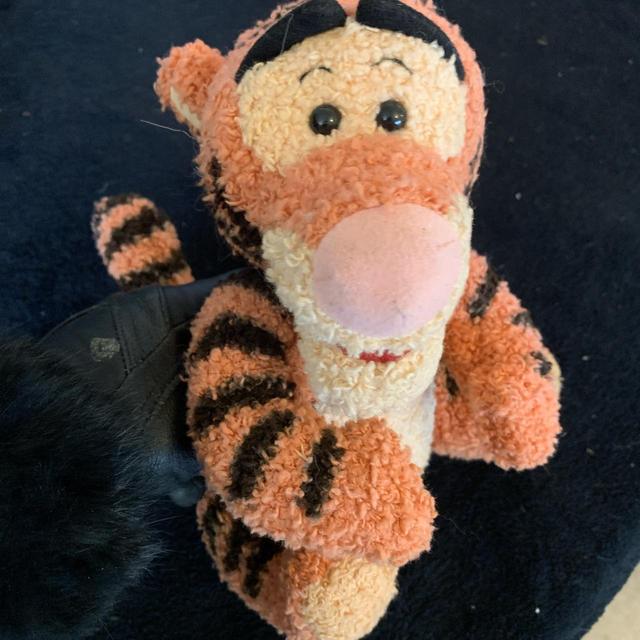 Disney Stuffed animal - Orange on Productcaster.