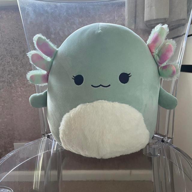 Squishmallows Stuffed animal - Green/Multi on Productcaster.