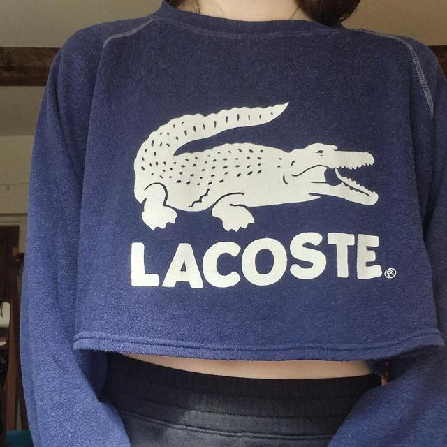 Lacoste Women's Jumper - Blue/Navy - L on Productcaster.