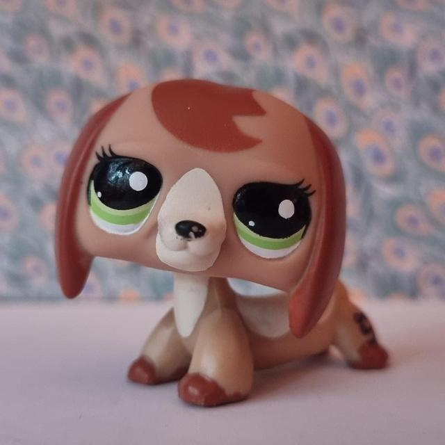 Littlest Pet Shop Doll - Tan/Multi on Productcaster.