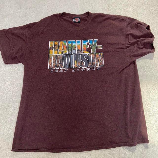 Harley Davidson Men's T-shirt - Burgundy - XL on Productcaster.