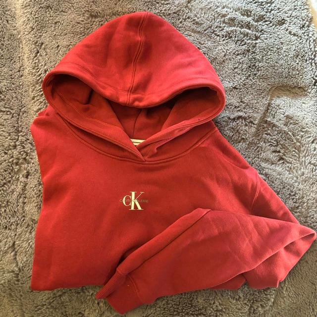 Calvin Klein Jeans Women's Hoodie - Burgundy - L on Productcaster.