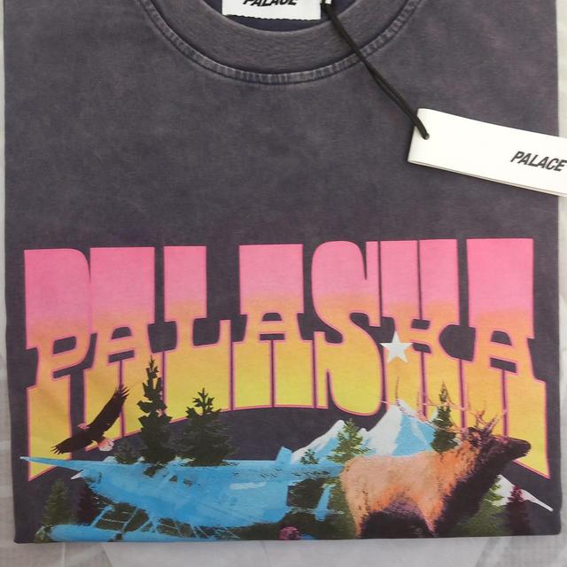 Palace Men's T-shirt - Black/Multi - M on Productcaster.