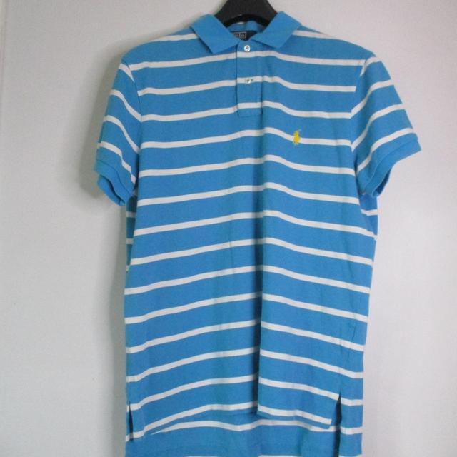 Polo Ralph Lauren Men's Polo shirt - Blue/White - L on Productcaster.