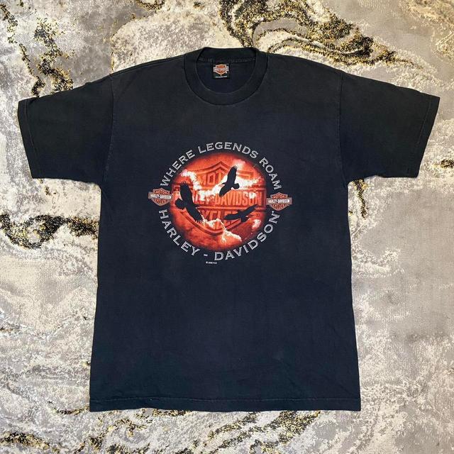 Harley Davidson Men's T-shirt - Black - L on Productcaster.