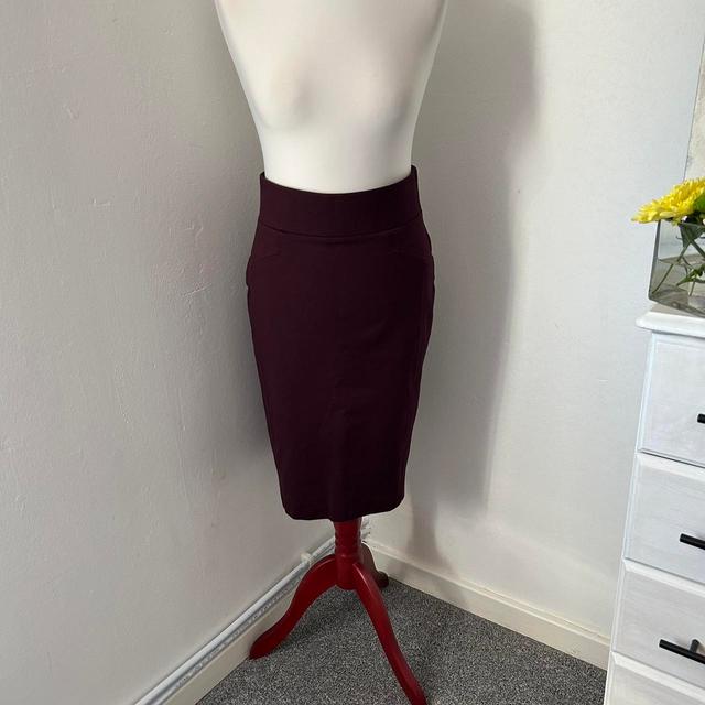 Principles Women's Casual Skirt - Burgundy/Purple - UK 14 on Productcaster.