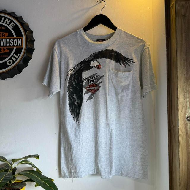 Harley Davidson Men's T-shirt - Grey - M on Productcaster.