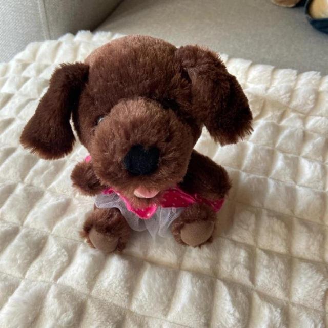 Build-A-Bear Stuffed animal - Brown on Productcaster.