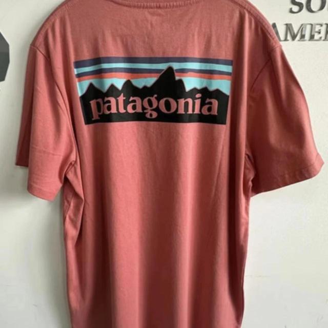 Patagonia Men's T-shirt - Pink/Red - M on Productcaster.