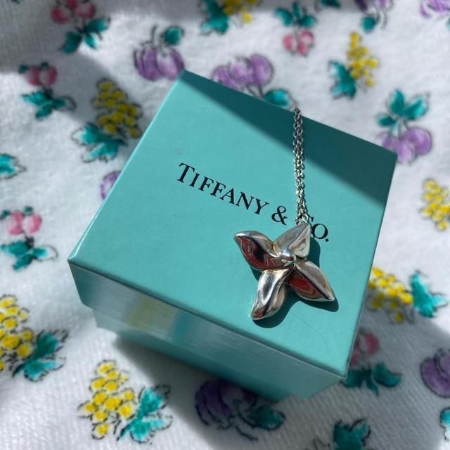 Tiffany & Co. Women's Necklace - Silver on Productcaster.