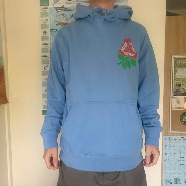 Palace Men's Hoodie - Blue - L on Productcaster.