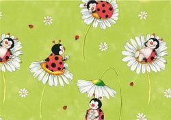 Papier cadeau 'Coccinelle', sur rouleau - Lot de 8 on Productcaster.