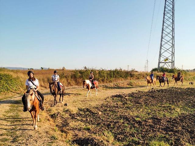 Smartbox - In sella nel verde di Viterbo: una passeggiata di un’ora a cavallo per 2 - Cofanetti Regalo Sport e Svago on Productcaster.