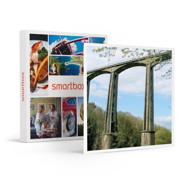 Smartbox Stage adrénaline de 3 sauts à l'élastique de 45 mètres au viaduc de Saint-Georges-le-Gaultier - Coffret cadeau, box cadeau on Productcaster.