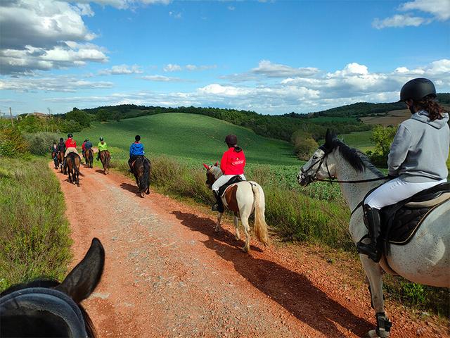 Smartbox - Splendida passeggiata a cavallo (2h) per 2 persone vicino a Siena - Cofanetti Regalo Sport e Svago on Productcaster.