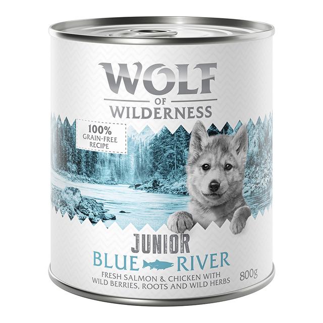 Korzystny pakiet Little Wolf of Wilderness Junior, 12 x 800 g - Blue River Little, kurczak i łosoś on Productcaster.