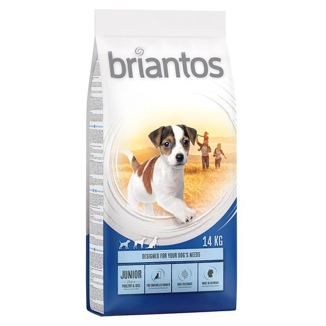 Briantos Junior Young & Fit - 14 kg on Productcaster.