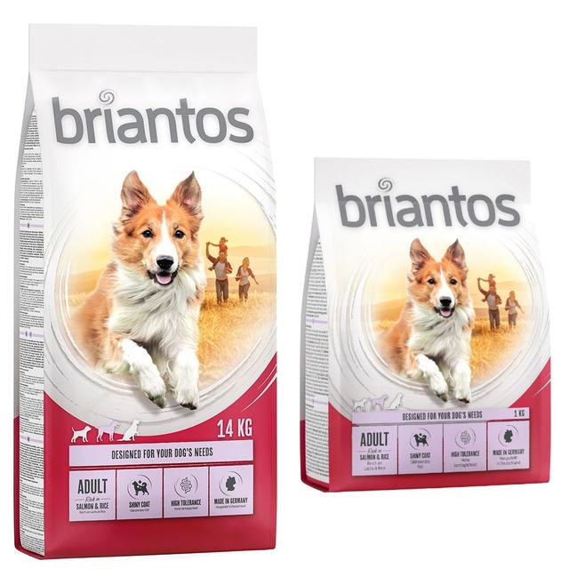 14 kg + 1 kg gratis! Briantos, karma sucha dla psów, 15 kg - Adult -  łosoś z ryżem on Productcaster.