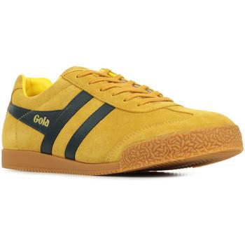 Sneakers Gola Harrier Suede on Productcaster.