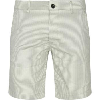 Broek Dstrezzed Charlie Chino Shorts Strepen Groen on Productcaster.