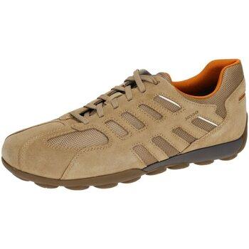 Nette Schoenen Geox - on Productcaster.