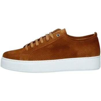 Sneakers Exton - on Productcaster.