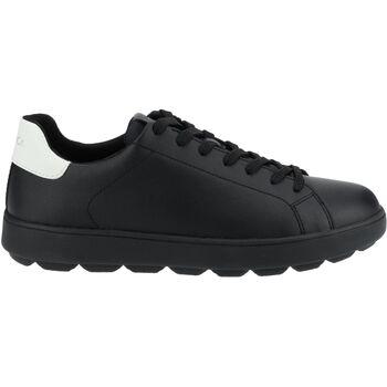 Lage Sneakers Geox Sneaker on Productcaster.