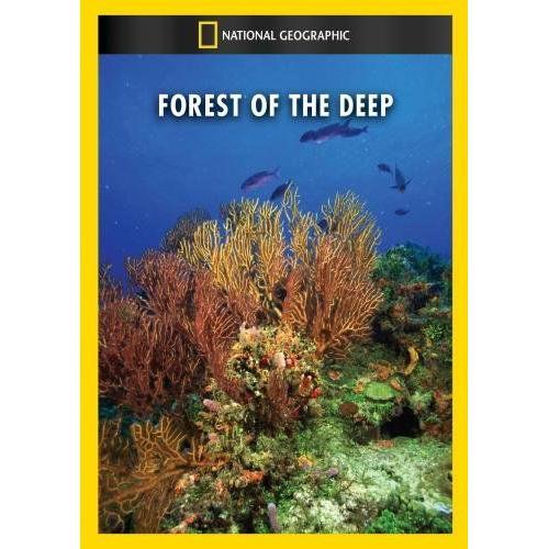 Forest Of The Deep on Productcaster.