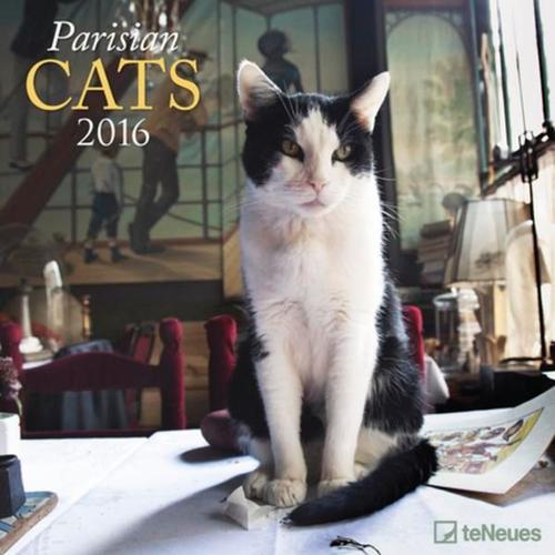 Calendrier 2016 - Paris & Cats - 30x30 Cm on Productcaster.