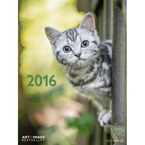 Calendrier Poster 2016 - Cats - Chats - 48x64 Cm on Productcaster.