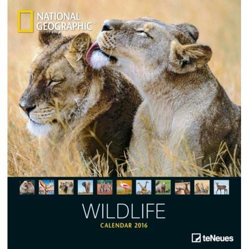 Calendrier 2016 - National Geographic - Wildlife - 45x48 Cm on Productcaster.