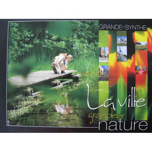 Grande-Synthe La Ville Grandeur Nature on Productcaster.