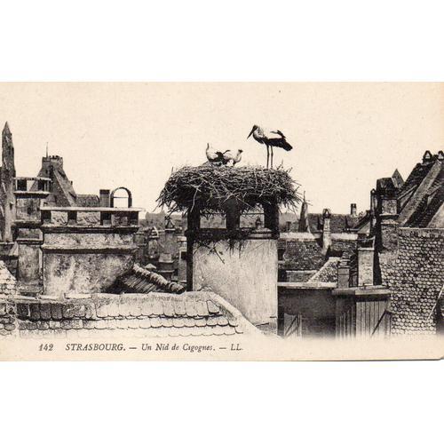 Carte Postale Ancienne - 142 - Strasbourg - Un Nid De Cigognes on Productcaster.